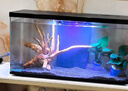 喜高超白玻璃鱼缸智能鱼缸免换水小型客厅水族箱一体式过滤氧气鱼缸 黑色-鱼缸+造景+加热棒 600*268*322mm 实拍图