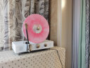 gramovox 格莱美507三代竖立式黑胶唱片机蓝牙一体音响复古摆件留声机音箱礼物 皓月白色+唱片 实拍图