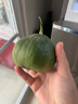 京觅 东北绿宝石甜瓜蜜瓜 净重4.7斤单果180g+ 生鲜水果源头直发 实拍图