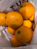 京鲜生 四川爱媛38号果冻橙 净重4.5-5斤 单果120g+ 源头直发包邮 实拍图