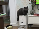 米家宠物智能喂食器2 小米猫咪喂食器+小米智能喂食器干燥盒套装 实拍图