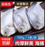 野生海捕银鲳鱼5条/斤新鲜冷冻批发海鲜水产白鲳鱼一箱海鱼扁平鱼 野生海捕银鲳鱼500g/袋*3（15条） 实拍图