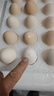 京鲜生无抗保洁鲜鸡蛋15枚1.5斤源头直发  实拍图