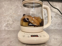 小熊（Bear）养生壶 煮茶壶 恒温水壶 保温烧水一体电热水壶花茶壶 316L不锈钢 1.5L大容量 YSH-J15H8 实拍图