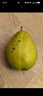 京鲜生新疆库尔勒香梨3斤装 全母梨 单果100-120g 源头直发 包邮 实拍图