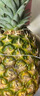 佳农 黑钻菠萝1粒装 菲律宾凤梨 净重2斤起 生鲜水果 源头直发 包邮 实拍图