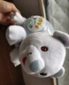 伟易达（Vtech）婴儿玩具北极熊睡眠仪音乐安抚毛绒玩偶0个月+宝宝周岁新生儿礼物 实拍图