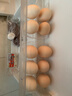 耕果妙新鲜土鸡蛋10枚1斤新鲜农散养鸡蛋笨鸡蛋 整箱包邮 源头直发 实拍图