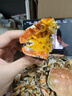 【活蟹】龙行大闸蟹 鲜活六月黄现货螃蟹足重特大公母海鲜礼盒装 全母蟹2.5-2.8两  10只 实拍图