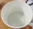 SnowDream茶渍茶垢清洁剂洗杯子神器茶杯茶具茶壶保温杯咖啡渍除垢剂免刷洗 实拍图