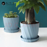 九千谷花盆创意欧式简约蓝色小号2个装多肉植物简约塑料花盆带托盘4245 实拍图