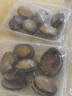 森农乐鲍鱼鲜活冷冻特大生鲜大号贝类海鲜水产超大即食佛跳墙食材鲍鱼汁 6-9只/斤【特大鲍2斤 实发12-16只】 实拍图