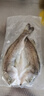 仙泉湖三去白蕉海鲈鱼1斤/条净膛冷冻刺少肉厚珠海特产500g生鲜食材 实拍图