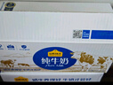 认养一头牛纯牛奶250ml*15盒 学生早餐纯奶整箱一提装/新老包装混发 实拍图