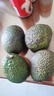 京鲜生 智利即食牛油果大果4粒装 单果130g起 源头直发 包邮 生鲜水果 实拍图