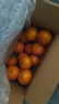 广西沃柑10斤新鲜纯甜橘子当季时令水果桔子柑橘应季整箱水果 5斤装（70mm+精选特大果） 实拍图