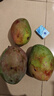 京鲜生 攀枝花凯特芒果 净重8.5斤 带箱9斤 单果500g+ 生鲜水果源头直发 实拍图