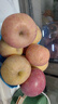 京鲜生山东烟台红富士苹果 5斤装单果75-80mm生鲜水果 源头直发 包邮 实拍图