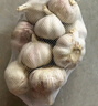 大蒜头出口品质网兜紫蒜蔬菜调料新鲜大果烧烤火锅食材 【精品网兜装】6头装 180g 实拍图