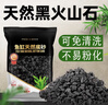 疯狂水草黑色火山石鱼缸专用养鱼过滤底沙颗粒鱼缸造景底砂装饰养乌龟专用 实拍图