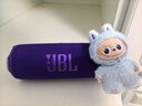 JBL FLIP7 音乐万花筒七代 蓝牙音箱 户外音响 AI音效增强 赛道扬声器 iphone16pro适用 罗兰紫 实拍图