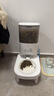 霍曼（Homerun）宠物智能自动喂食器猫粮狗粮定时猫咪自动投食机陶瓷单碗增高版 实拍图