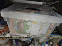 禧天龙塑料透明整理箱衣物收纳箱书本玩具车载储物箱中号 单只 带提手 实拍图