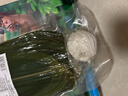 鲜窝窝 超大号粽叶100片 野生粽子叶宽粽叶新鲜箬叶端午节包粽子材料 实拍图