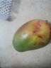 三亚芒果  海南芒果新鲜水果生鲜整箱当季大青皮芒 热带孕妇芒果 10斤装(净果9斤)单果400g+ 实拍图