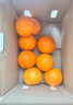 【整箱】爱媛果冻橙约2.5kg 实拍图