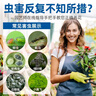 Dr.Riley德国原液花卉杀虫剂植物蚜虫呋虫胺喷雾土壤绿植月季花草红黑蜘蛛 实拍图