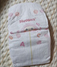 好奇（Huggies）铂金装小桃裤纸尿裤L120片(9-14kg)大号尿不湿【透爽散热】 实拍图