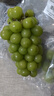 京鲜生 阳光玫瑰葡萄 青提2-2.5斤装 单果约10g 生鲜水果 实拍图