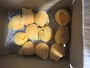京鲜生 爱媛38号果冻橙 5斤 单果180g起生鲜水果桔子礼盒 实拍图