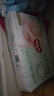 好奇（Huggies）小森林纸尿裤NB66片(5kg以下)尿不湿心钻【透氧顶配更低敏】 实拍图
