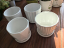 裕轩堂陶瓷花盆简约办公室绿萝吊兰文竹榕树室内多肉家用白色盆个性桌面 60+49+27+06白色（图片款） 中等 实拍图