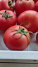 【超市精选】山东沙瓤水果西红柿新鲜番茄蔬菜减肥单果100g起 西红柿中大果 4斤 带箱 实拍图