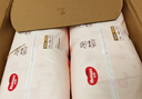 好奇（Huggies）铂金装小桃裤成长裤XL96片(12-17kg)加大号尿不湿【透爽散热】 实拍图