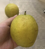 京鲜生 新疆特级库尔勒香梨 净重5斤单果120g以上 生鲜水果 实拍图