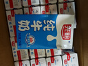 光明纯牛奶250mL*16盒 家庭量贩装浓醇营养早餐伴侣送礼 实拍图