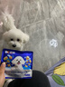 豆柴（docile）经典缤纷多维鲜冻干全价狗粮成犬幼犬比熊泰迪狗粮试吃40g*3 实拍图