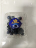云南8分甜高山蓝莓125g(18mm) 实拍图