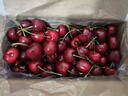 甜萌果蔬智利车厘子【JD顺丰多地次日达】新鲜进口水果现货大樱桃礼盒 3斤(净重) 【80%选择丨很划算】礼盒装 【臻品级】巨无霸｜3J 30-32mm 实拍图