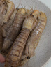 京鲜港 椒盐风味大号皮皮虾净含量500g 虾爬子鲜活熟冻 鲜嫩饱满 实拍图