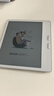 BOOX文石电纸书Leaf5C  7英寸主动笔套装彩色墨水屏电子书电子纸 活力金 便携阅读办公本平板电脑  实拍图