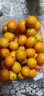 京鲜生 云南油皮金桔/金橘 净重2斤 单果12g起 生鲜水果 实拍图