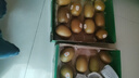 佳沛（zespri）新西兰  阳光金奇异果10粒礼盒巨大果单果约144-175g 水果 猕猴桃 实拍图
