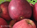 京鲜生 天水花牛苹果 净重4.5斤 单果170g+ 生鲜水果源头直发 实拍图