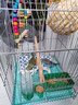 獒少保鸟笼鹦鹉专用鸟笼大号家用八哥鹦鹉笼子金属电镀加粗豪华鸟别墅 电镀银豪华套餐 大号56*32*31cm 实拍图