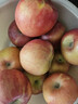 京鲜生 新疆阿克苏苹果 净重4.5斤 果径75-80mm 水果源头直发 实拍图